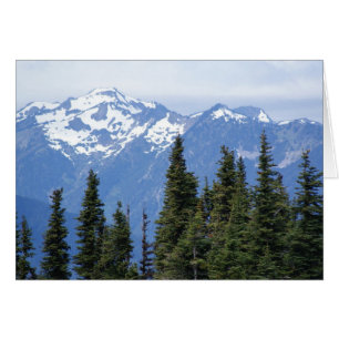 Hurricane Ridge at Olympic National Park