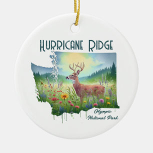 Hurricane Ridge National Park Souvenir Gift Ceramic Ornament