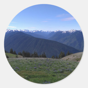 Hurricane Ridge Olympic Nat'l Park round sticker