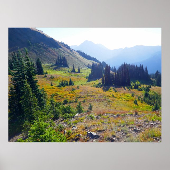 Hurricane Ridge Trail Poster (Front)