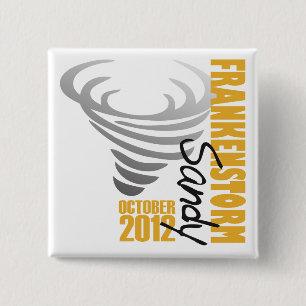 Hurricane Sandy Survivor 2012 15 Cm Square Badge