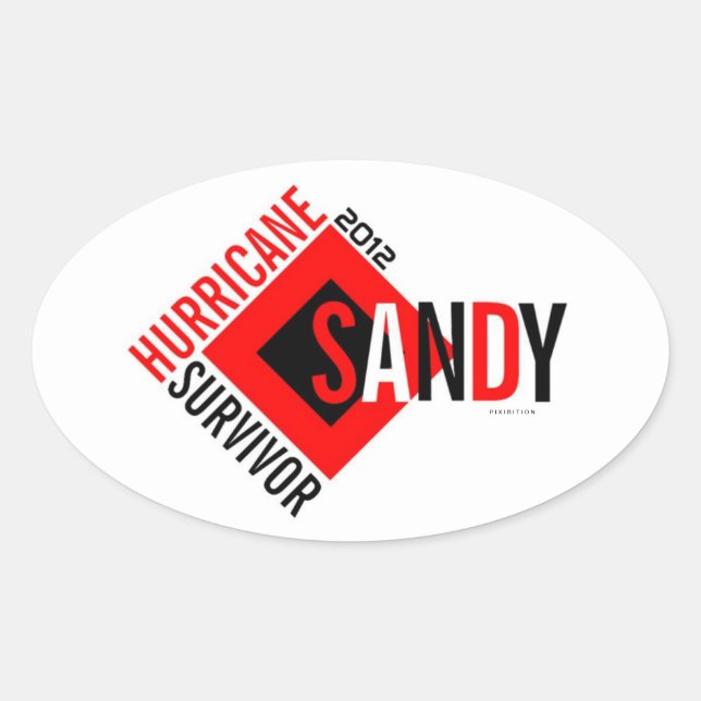Hurricane Sandy Survivor Sticker 6 (Front)