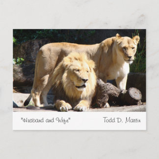 "Husband and Wife" By: Todd D. Martin Postcard