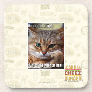 Husband Kitteh Coaster