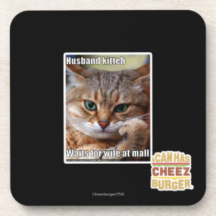 Husband Kitteh Coaster