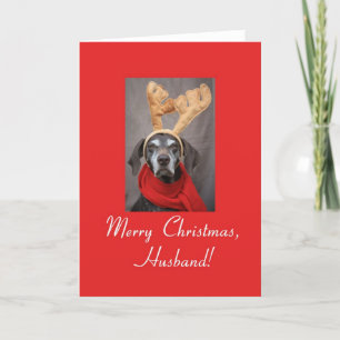 Husband reindeer pointer merry x-mas holiday card