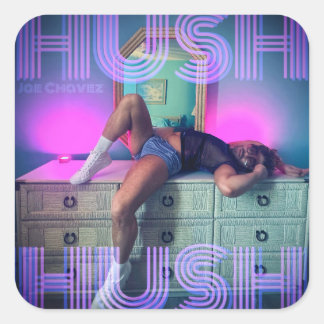 HUSH HUSH Cover Art Sticker