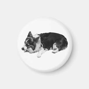 hush-room warmth, corgi magnet