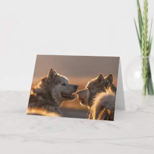 Huskies Photo Card