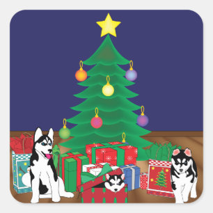 Huskies Playing Underneath the Christmas Tree Card Square Sticker