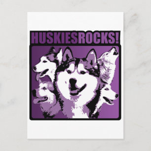 Huskies Rock! Postcard