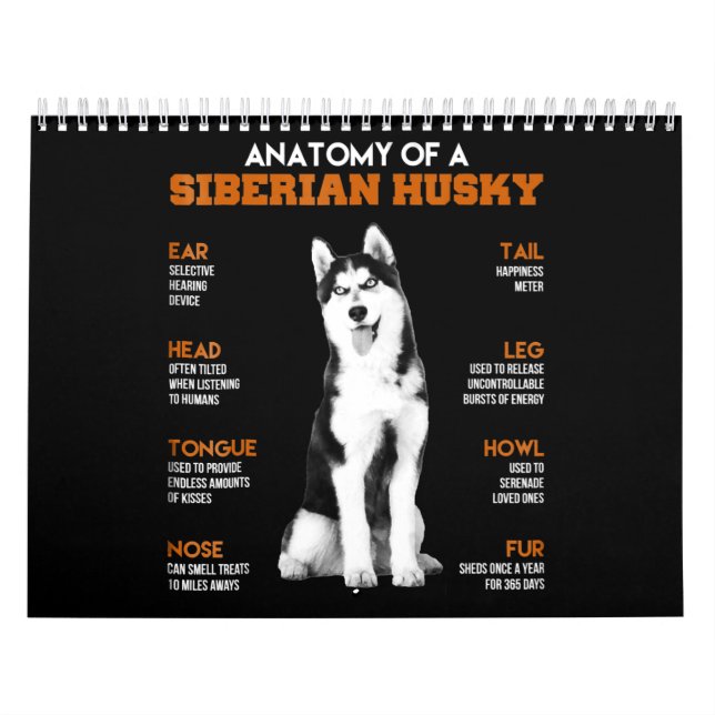 Husky | Anatomy Of Siberian Husky Dogs Calendar (Cover)