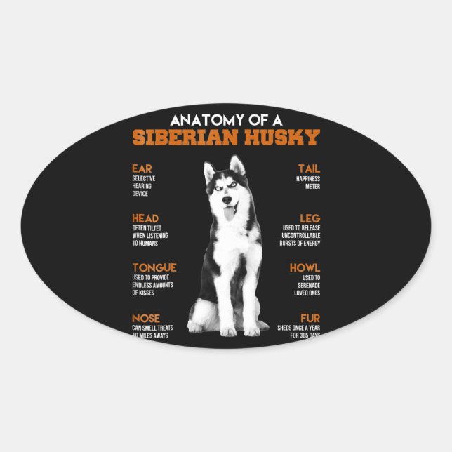 Husky | Anatomy Of Siberian Husky Dogs Oval Sticker (Front)