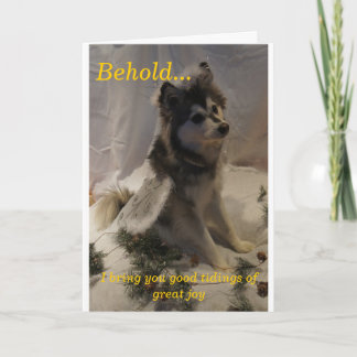 Husky Angel Christmas Card