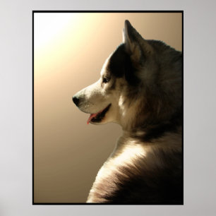 Husky Art Print Sled Dog Art Poster Husky Gifts