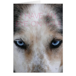 Husky blue eyes Eye on you love card