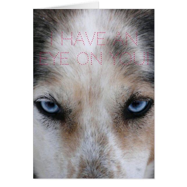 Husky blue eyes Eye on you love card (Front)
