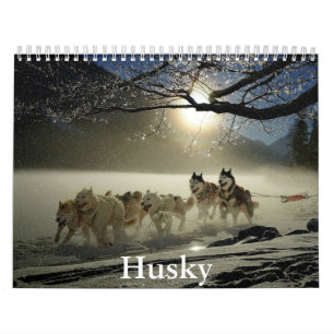 Husky Calendar