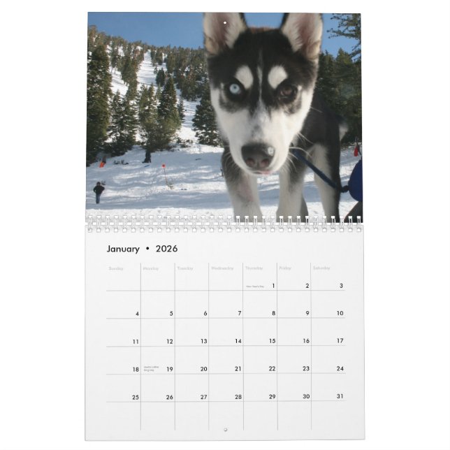 Husky Calendar 2011 (Jan 2026)