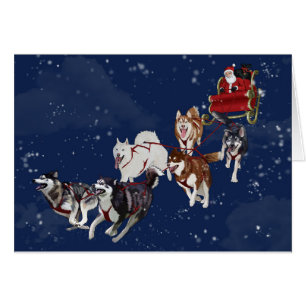 Husky Christmas Card Pulling Santa's Sleigh