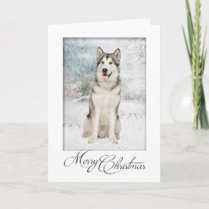 Husky Christmas Cards