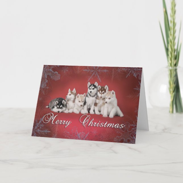 Husky christmas holiday card (Front)