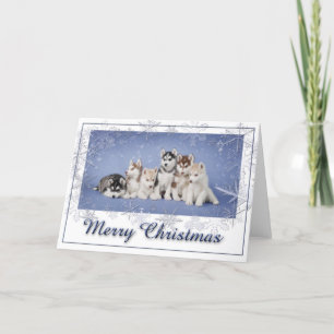 Husky Christmas Holiday Card
