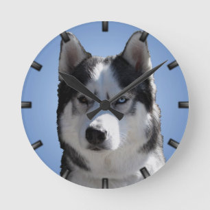 Husky Clock Gifts Decor Sled Dog Wall Clock
