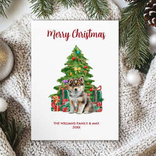 Husky Dog Family Christmas Holiday Card
