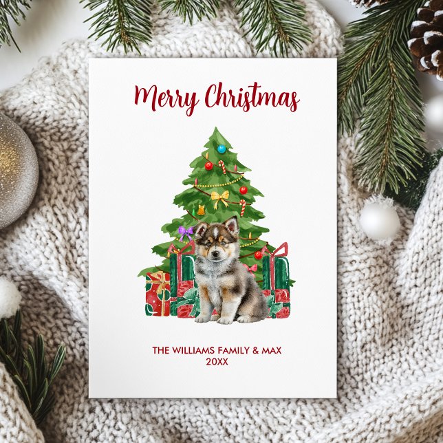 Husky Dog Family Christmas Holiday Card (Creator Uploaded)