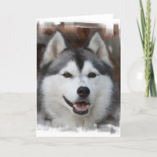 Husky Dog Greeting Card