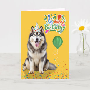 Husky Dog in a Party Hat on Yellow Birthday Card