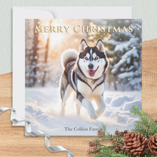 Husky Dog In Winter Snow Merry Christmas Holiday Card (An elegant Christmas card with picture of a Husky dog in the winter snow)