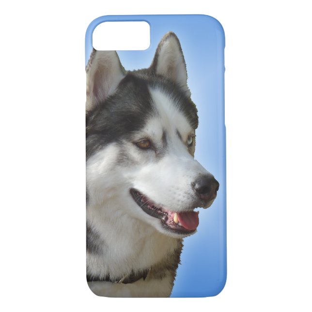 Husky Dog iPhone Cases Husky Malamute Pup Cases (Back)