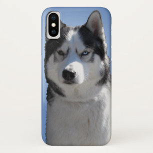 Husky Dog iPhone Cases Husky Malamute Pup Cases