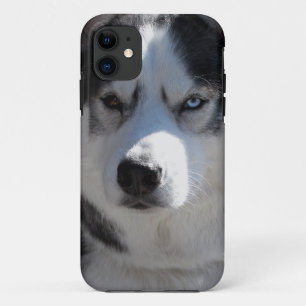 Husky Dog iPhone Cases Husky Malamute Pup Cases