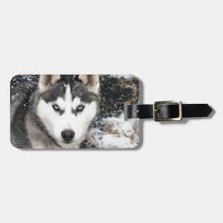 Husky dog luggage tag