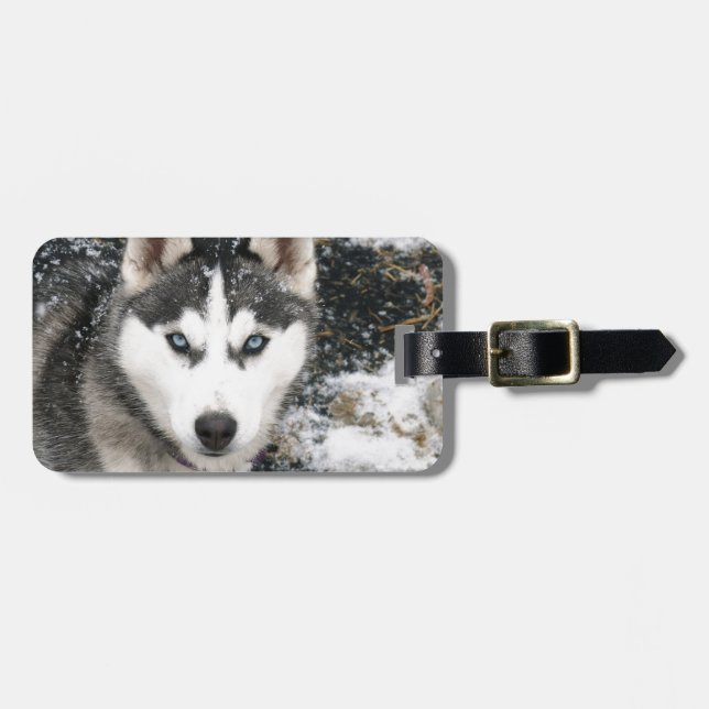 Husky dog luggage tag (Front Horizontal)