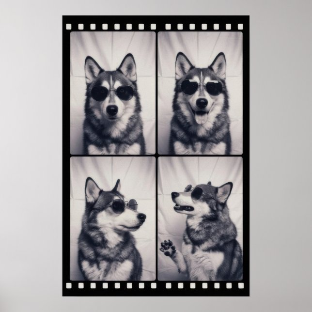 Husky Dog Portrait Poster (Front)