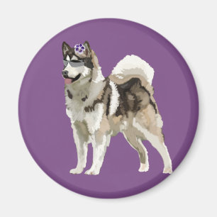 Husky dog with Flower Photo Magnet
