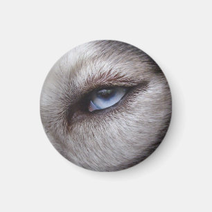Husky Fridge Magnet Alaskan Sled Dog Magnet / Gift