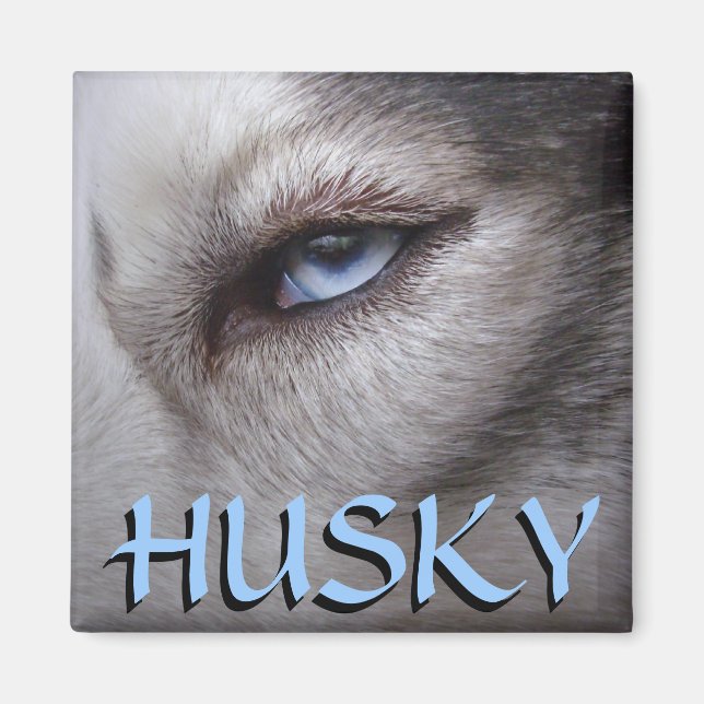 Husky Fridge Magnet Alaskan Sled Dog Magnet / Gift (Front)
