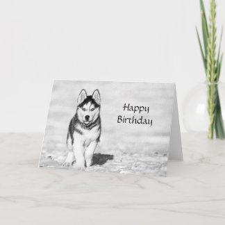 Husky Happy Birthday Card