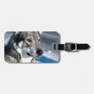 Husky in Snow Luggage Tag