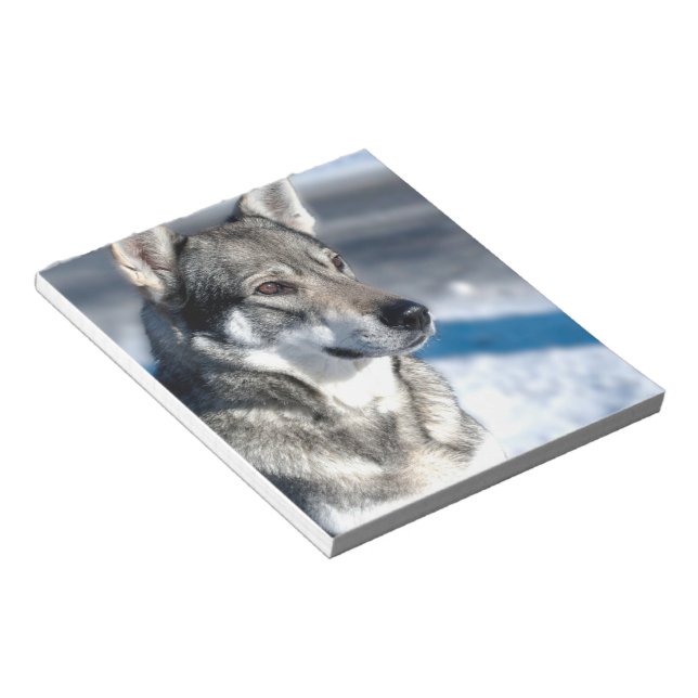 Husky in Snow Notepad (Angled)