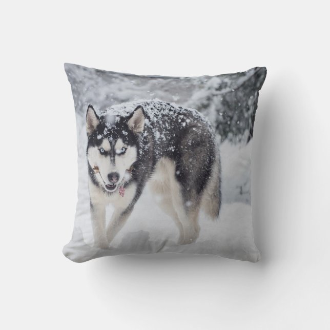 Husky in the snow cushion (Front)