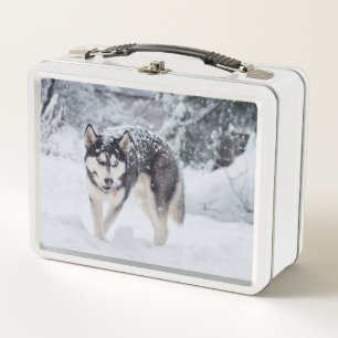 Husky in the snow metal lunch box