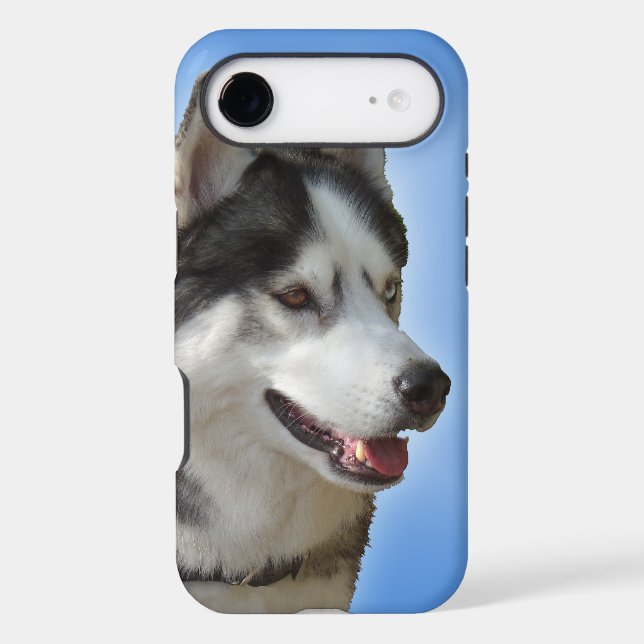 Husky iPhone 5 Case Siberian Husky Malamute Cases (Back)