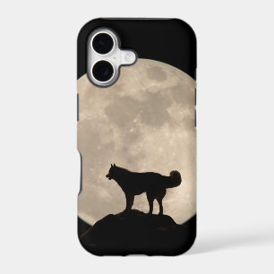 Husky iPhone 5 Case Siberian Husky Wolf Dog Cases