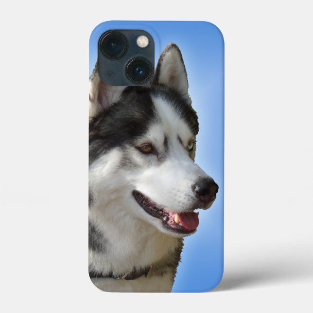 Husky iPhone 6 case Siberian Husky Malamute Cases (Back)